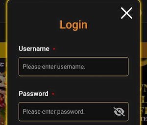 enter the exact username and password