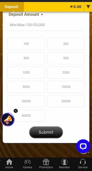 Step 3: Enter Bank Information and Deposit Amount